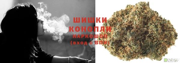 крисы Аркадак