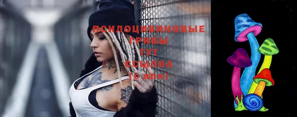 а пвп мука Арсеньев