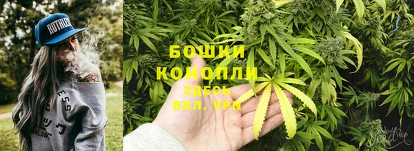 крисы Аркадак