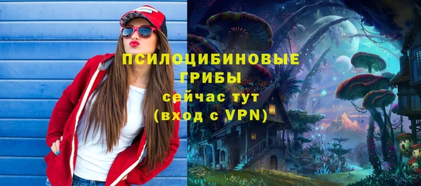 крисы Аркадак