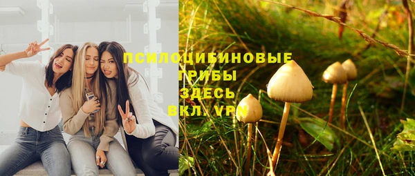 крисы Аркадак